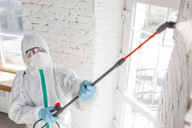 Best Asbestos and Lead Testing During Mold Inspection  in Lake Lure, NC
