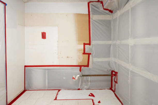 Best Air Quality Testing for Mold Spores  in Lake Lure, NC