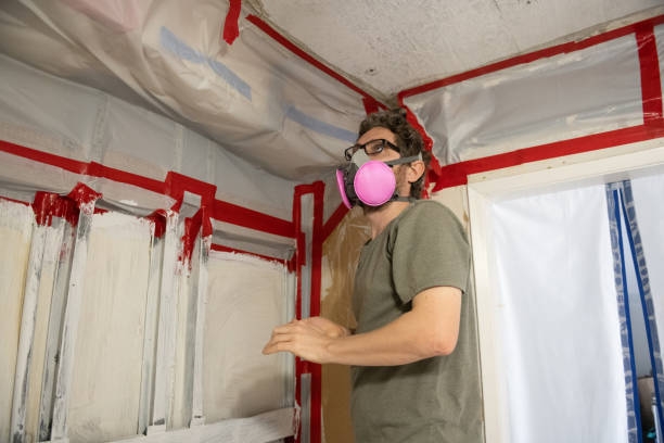Best Dehumidification Services  in Lake Lure, NC