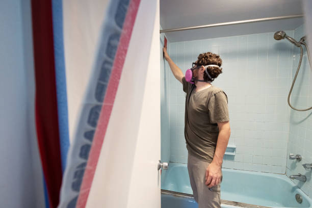 Lake Lure, NC Mold Removal Company