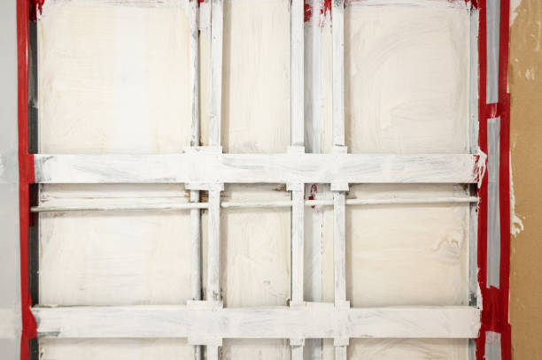 Best Mold Remediation for Rental Properties  in Lake Lure, NC