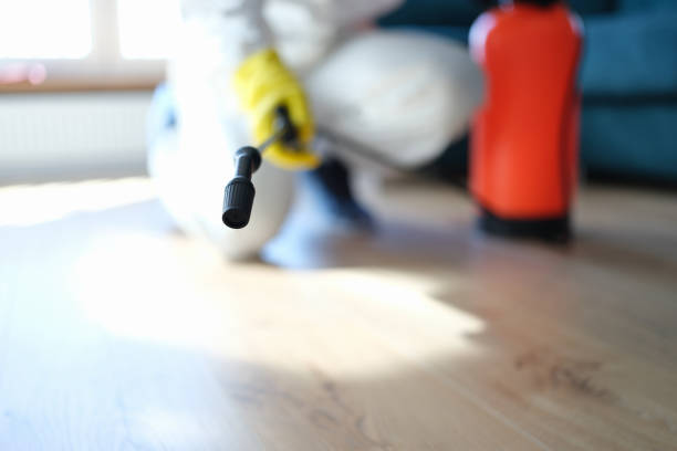 Best Mold Odor Removal Services  in Lake Lure, NC