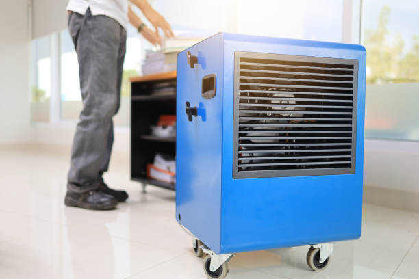 Best Comprehensive Air Testing for Mold Contaminants  in Lake Lure, NC