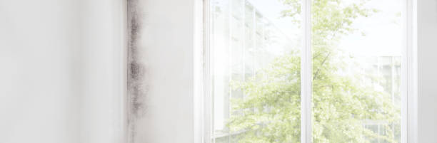 Asbestos and Lead Testing During Mold Inspection in Lake Lure, NC