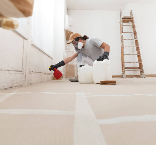 Mold Removal for HVAC Installations in Lake Lure, NC